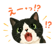 858657832