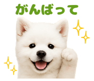 858658165