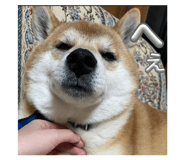 858658232