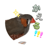 858658333