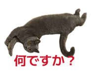 858659339
