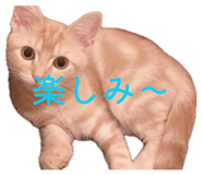 858659342