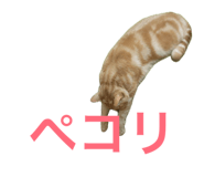 858659344