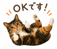 858659926
