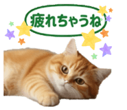 858660328