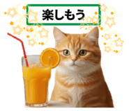 858660333