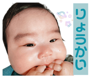 858661116