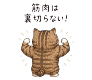 858661244