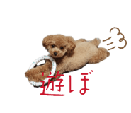 858661913
