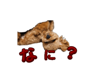 858661918