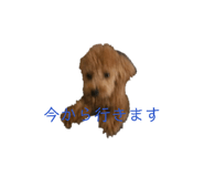 858661922