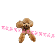 858661923