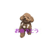 858661924