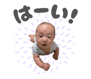 858662161