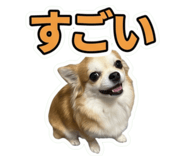 858662296