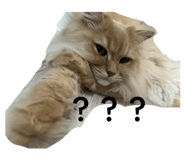 858662481