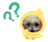 858662584
