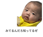 858662660