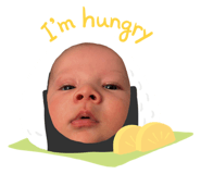 858662730