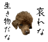 858662743