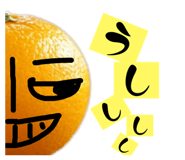 858663546