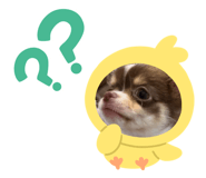 858663874