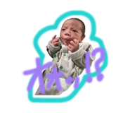 858664306