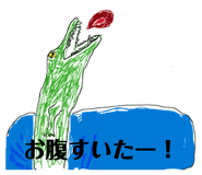 858664587