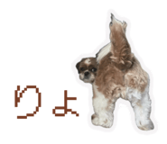 858664610