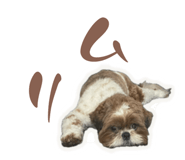858664612