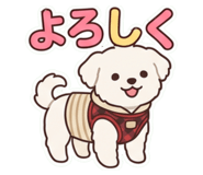 858664748