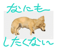 858666179