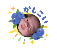 858667554