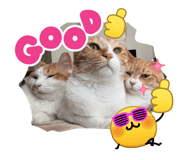 858667635