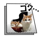 858667637