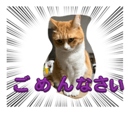 858667639
