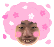 858668248