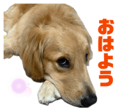 858668674