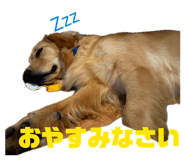 858668675