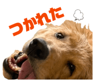858668678