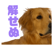 858668682