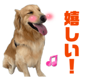 858668684