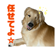 858668685