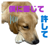 858668687