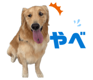 858668688