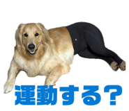 858668690