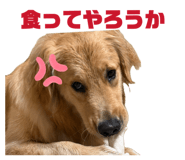 858668696