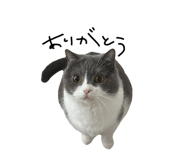 858668969