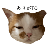 858668970