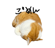 858668973